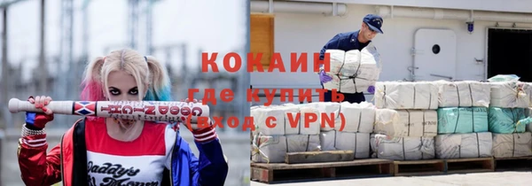 хмурый Аркадак