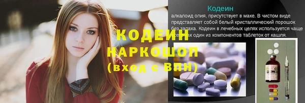 соль ск Арсеньев
