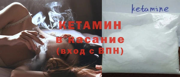 хмурый Аркадак