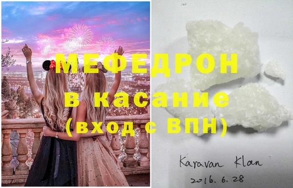 хмурый Аркадак