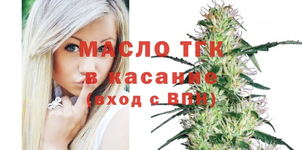 хмурый Аркадак