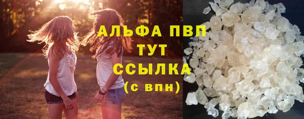 хмурый Аркадак