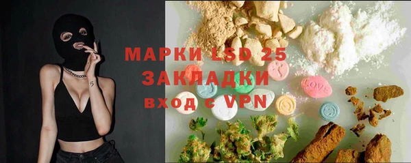 хмурый Аркадак
