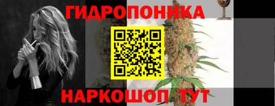 ПСИЛОЦИБИНОВЫЕ ГРИБЫ Берёзовский