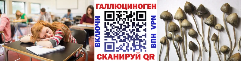Псилоцибиновые грибы ЛСД  Коломна 