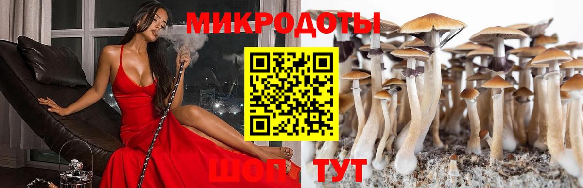 Галлюциногенные грибы мицелий  Вход с VPN  Коломна 